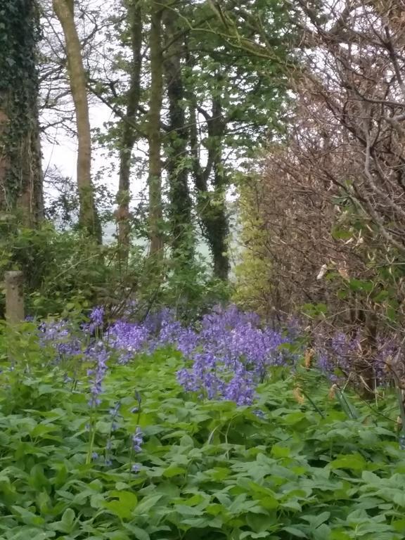 Dromore House Historic Country house *